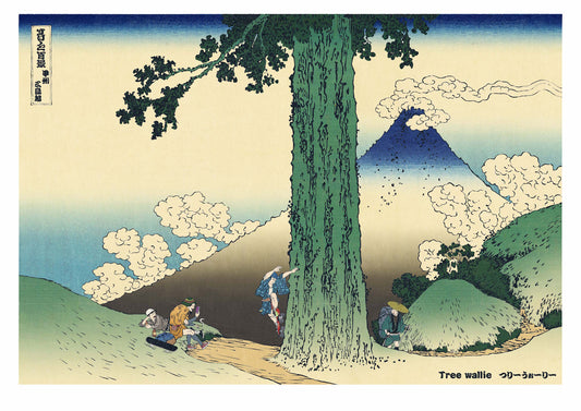 100 Views of Skate 'Koushu Mishimagoe' ☆Limited Collection